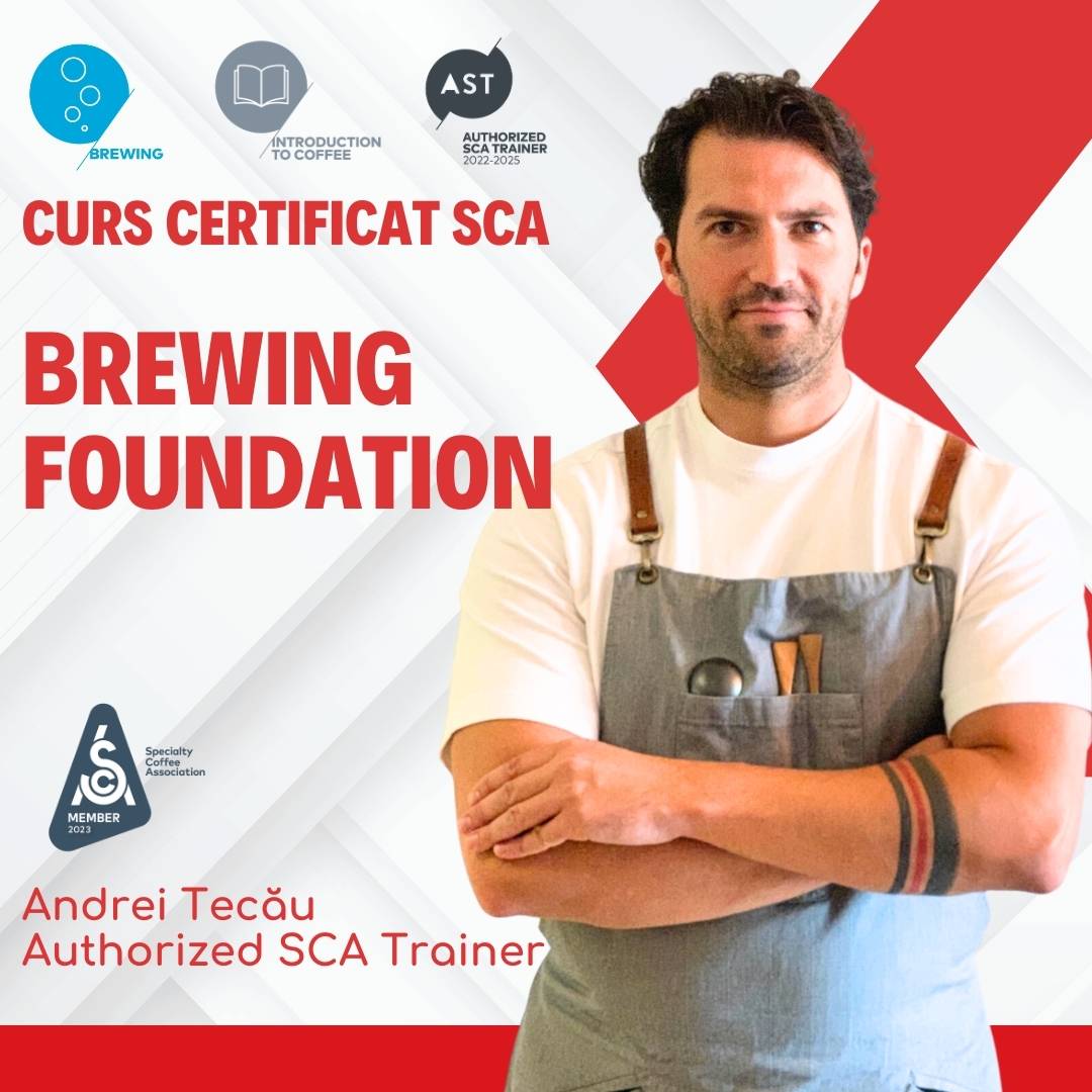Curs certificat SCA – Brewing Foundation