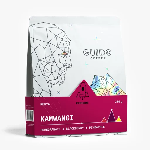 KENYA KAMWANGI